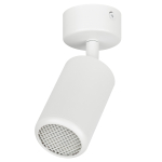 Светильник настенно-потолочный спот ЭРА OL55 WH MR16 GU10 IP20 белый