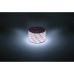 Лента светодиодная ЭРА LS2835-120LED-IP65-W-eco-5m