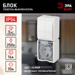 Блок ЭРА Эксперт 11-7408-01 накладной IP54 16A(10AX) 250В белый розетка и двойной выключатель