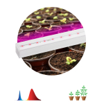 Светильник для растений, фитолампа светодиодная линейная ЭРА FITO-9W-Т5-N красно-синего спектра 9 Вт Т5