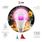 Фитолампа для растений светодиодная ЭРА FITO-20W-RB-E27 красно-синего спектра 20 Вт Е27