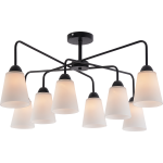 Люстра Rivoli Jodie 9190-308 8хЕ27 60 Вт модерн