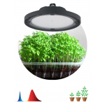 Фитопрожектор для растений светодиодный ЭРА FITO-50W-RB-LED-UFO красно-синего спектра 50 Вт IP65 Фитопрожектор для растений светодиодный ЭРА FITO-50W-RB-LED-UFO красно-синего спектра 50 Вт IP65