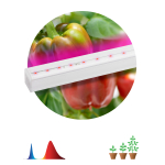 Светильник для растений, фитолампа светодиодная линейная ЭРА FITO-16W-Т5-N красно-синего спектра 16 Вт Т5