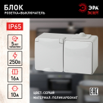 Блок ЭРА Эксперт 11-7601-03 накладной IP65 16А(10AX) 250В серый горизонтальный розетка с выключателем одноклавишн
