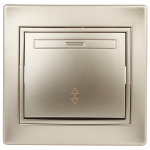 Переключатель одноклавишный Intro Plano 1-103-04 скрытой установки 10А 250В шампань