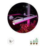 Кронштейн для ламп и светильников ЭРА ЭРА FITO-Hanger 2Х комплект кронштейнов на присоске, в упаковке 2 шт. Кронштейн для ламп и светильников ЭРА ЭРА FITO-Hanger 2Х комплект кронштейнов на присоске, в упаковке 2 шт.