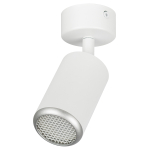 Светильник настенно-потолочный спот ЭРА OL55 WH/SL MR16 GU10 IP20 белый/серебро