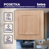 Розетка ЭРА Intro Solo 4-203-11 с заземлением 2P+E Schuko с крышкой, 16А-250В, IP20, скрытой установки, сосна