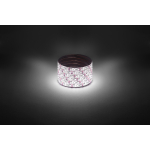 Светодиодная лента ЭРА LS2835 -9,6-120-12-4000K-IP65-1 year-5m дневной белый 5м