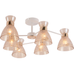 Люстра Rivoli Frances 9182-306 6хЕ27 60 Вт модерн