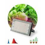 Фитопрожектор для растений светодиодный ЭРА FITO-80W-RB-LED-Y красно-синего спектра Фитопрожектор для растений светодиодный ЭРА FITO-80W-RB-LED-Y красно-синего спектра