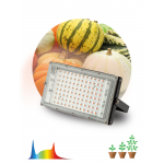 Фитопрожектор для растений светодиодный ЭРА FITO-80W-Ra90-LED-Y полного спектра Фитопрожектор для растений светодиодный ЭРА FITO-80W-Ra90-LED-Y полного спектра