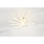 Светильник потолочный светодиодный Rivoli Cordelia 6184-201 LED 120Вт 3000-6000К белый с пультом