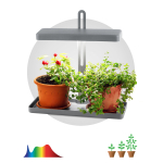 Настольный светильник для растений ЭРА FITO-20W-QLED-G полного спектра 20 Вт серый