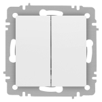 Выключатель Intro Accent 6-104-01М двойной, 10А-250В, IP20, СУ, AL/CU, белый матовый