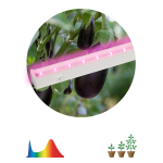 Светильник для растений, фитолампа светодиодная линейная ЭРА LLED-05-T5-FITO-14W-W розового свечения 14 Вт