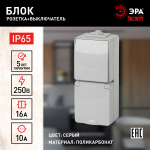лок ЭРА Эксперт 11-7607-03 накладной IP65 16А(10AX) 250В серый вертикальный розетка с выключателем одноклавишным
