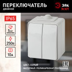 Выключатель ЭРА Эксперт 11-1606-03 накладной IP65 10А 250В серый двухклавишный проходной Выключатель ЭРА Эксперт 11-1606-03 накладной IP65 10А 250В серый двухклавишный проходной