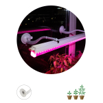 Кронштейн для ламп и светильников ЭРА FITO-Hanger на присоске Кронштейн для ламп и светильников ЭРА FITO-Hanger на присоске