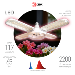Фитолампа для растений светодиодная ЭРА GREEN LINE ФИТО-65W-PL-E27-GR 5-ти лепестковая розового свечения 65 Вт Е27