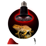 Инфракрасная лампа ЭРА ЭРА FITO-100W-НQ керамическая серии CeramiHeat модель RX для брудера, рептилий 100 Вт Е27 Инфракрасная лампа ЭРА ЭРА FITO-100W-НQ керамическая серии CeramiHeat модель RX для брудера, рептилий 100 Вт Е27