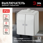 Выключатель ЭРА Эксперт 11-1605-03 накладной IP65 10А 250В серый двухклавишный с подсветкой Выключатель ЭРА Эксперт 11-1605-03 накладной IP65 10А 250В серый двухклавишный с подсветкой