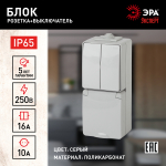 Блок ЭРА Эксперт 11-7608-03 накладной IP65 16А(10AX) 250В серый вертикальный розетка с выключателем двухклавишным