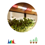 Светодиодная лента для растений ЭРА FITO-Strip Light-Rа90-3m полного спектра 3м IP65, с адаптером 12V в комплекте Светодиодная лента для растений ЭРА FITO-Strip Light-Rа90-3m полного спектра 3м IP65, с адаптером 12V в комплекте