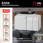 Блок ЭРА Эксперт 11-7602-03 накладной IP65 16А(10AX) 250В серый горизонтальный розетка с выключателем двухклавишн Блок ЭРА Эксперт 11-7602-03 накладной IP65 16А(10AX) 250В серый горизонтальный розетка с выключателем двухклавишн