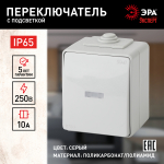 Выключатель ЭРА Эксперт 11-1610-03 накладной IP65 10А 250В серый одноклавишный проходной с подсветкой