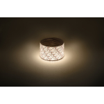 Лента светодиодная ЭРА LS2835-120LED-IP65-WW-eco-5m