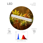 Светильник для растений, фитолампа светодиодная линейная ЭРА FITO-18W-PL-LINE 573-GR красно-синего спектра 18 Вт Т5