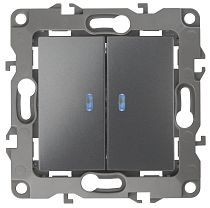 Выключатель ЭРА 12 12-1105-12 10А 250В графит двухклавишный с подсветкой