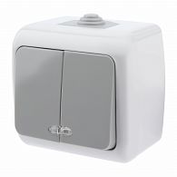 Выключатель Intro Atlantic 5-105-03 двойной с подсветкой, 10А-250В, IP54, открытой установки, серый Выключатель Intro Atlantic 5-105-03 двойной с подсветкой, 10А-250В, IP54, открытой установки, серый