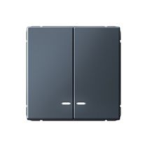 ARTGALLERY 2-клавишный ВЫКЛЮЧАТЕЛЬ с подсветкой, сх.5а, 10АХ, механизм, быстрозажим. клем., ГРИФЕЛЬ