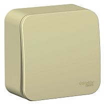 Одноклавишный выключатель Blanca (сх. 1) открытой установки с изолирующей пластиной, бежевый, 10А, Schneider Electric BLNVA101017 Systeme Electric (Schneider Electric)