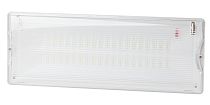 Светильник аварийный непостоянный светодиодный ЭРА DPA-301-0-65 (40LED, 5Вт, 3ч, IP65, NiCD)