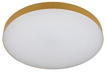 Светильник потолочный светодиодный ЭРА Relict 48 Pult SPB-6-60-RC MG с ДУ 60Вт 3000-6500К Золото