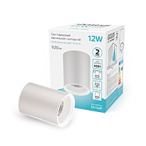 Светильник светодиодный Gauss накладной HD011 12Вт белый 4100K 79x100мм, 920лм,