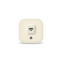 Розетка компьютерная UNIVersal IONICH 1432 слоновая кость одноместная
