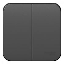 Blanca открытая установка с заземлением  Антрацит Выключатель 2клавишный , 10А Systeme Electric (Schneider Electric)