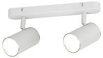 Светильник настенно-потолочный спот ЭРА OL35-2 WH MR16 GU10 IP20 белый хром