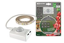 Подсветка умная SMD2835-30LED/m-IP20-5В-2,4Вт-6000К(1 м),датчик движ.и освещ.,акк. Li-Ion1100мАч  TDM