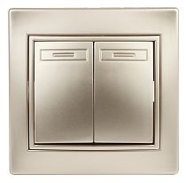 Выключатель ЭРА Intro Plano 1-104-04 10А 250В шампань двухклавишный
