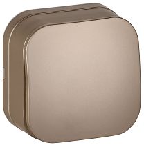 GLORY Выключатель 1-клавишный для открытой установки 10А ВС20-1-0-ХШм шампань матовый IEK