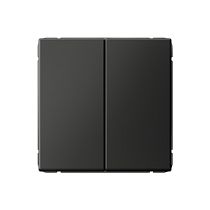 ArtGallery Базальт Переключатель 2-кл., 10АХ, механизм, быстрозажим. клем.