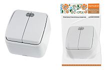 Выключатель 2-кл. открытой установки с подсветкой IP20 10А, белый "Дача" Народная TDM