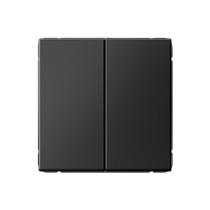 ArtGallery Базальт Выключатель двухклавишный, сх.5, 10АХ, механизм Systeme Electric (Schneider Electric)