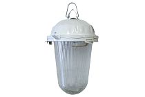 Светильник ЖКХ НСП 02-200-021.01 У2 (без решетки, стекло, крюк)  TDM